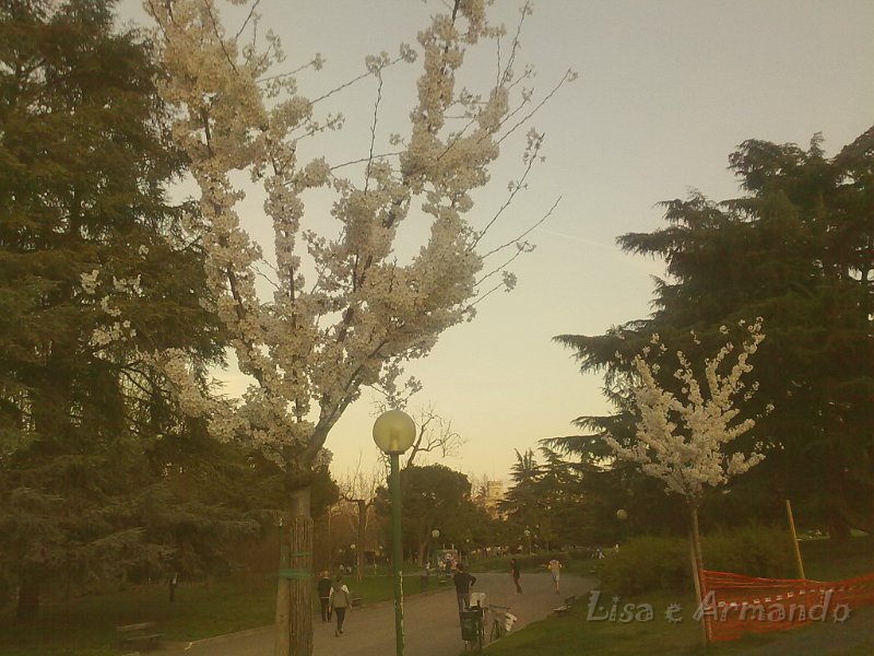 giardini margherita2.jpg